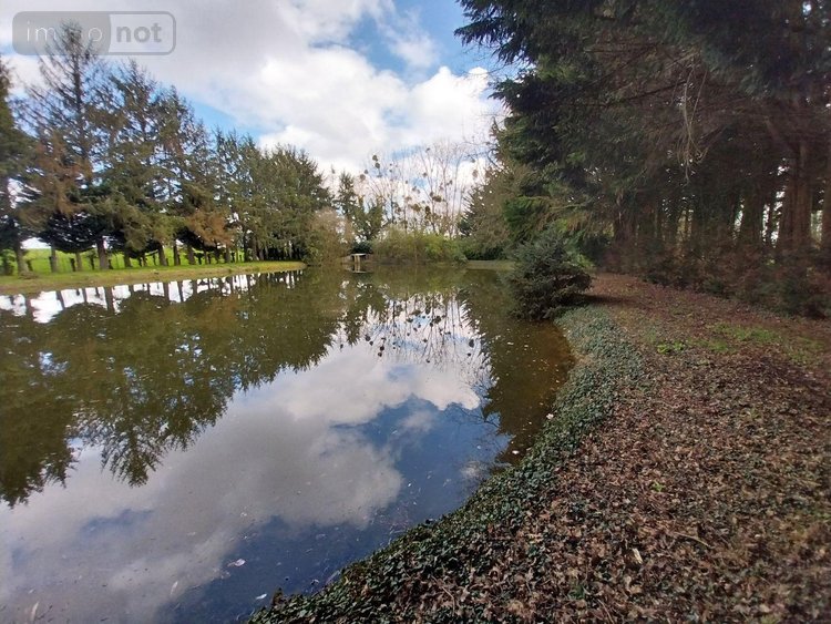 Terrains de loisirs bois etangs a vendre Cuillé 53540 Mayenne 3488 m2  69800 euros
