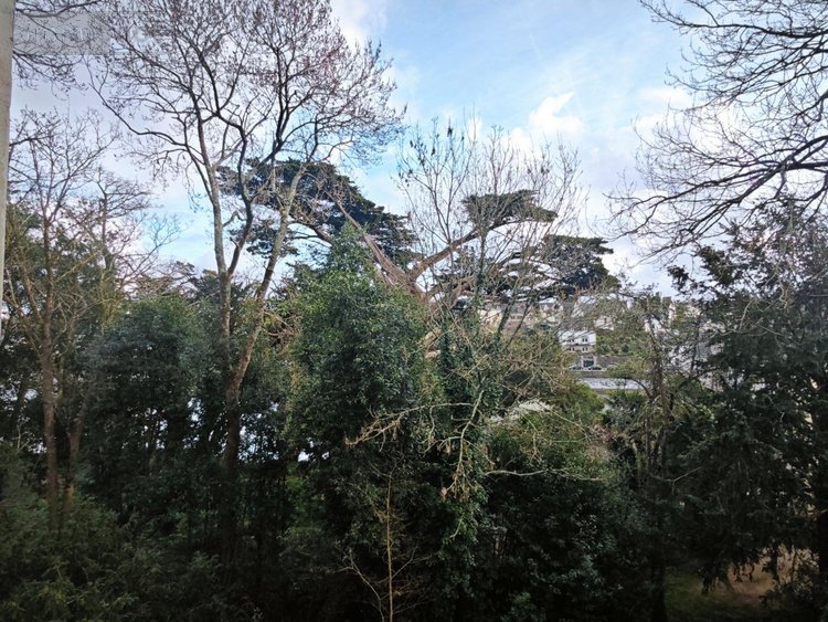 Appartement a vendre Auray 56400 Morbihan 84 m2 4 pièces 357000 euros