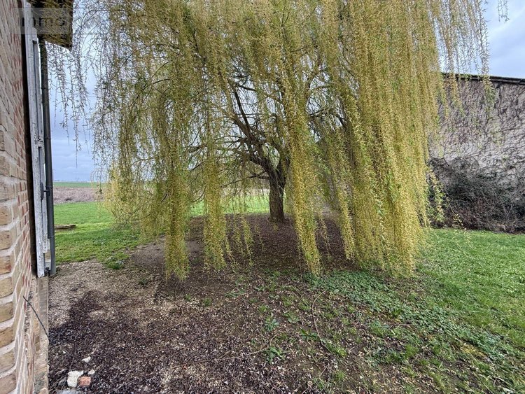 propriete a vendre Courteranges 10270 Aube 177 m2 6 pièces 417000 euros