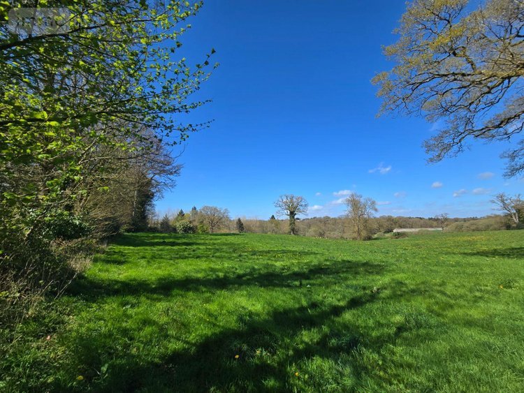 propriete a vendre Saint-Jacut-les-Pins 56220 Morbihan 200 m2  432736 euros