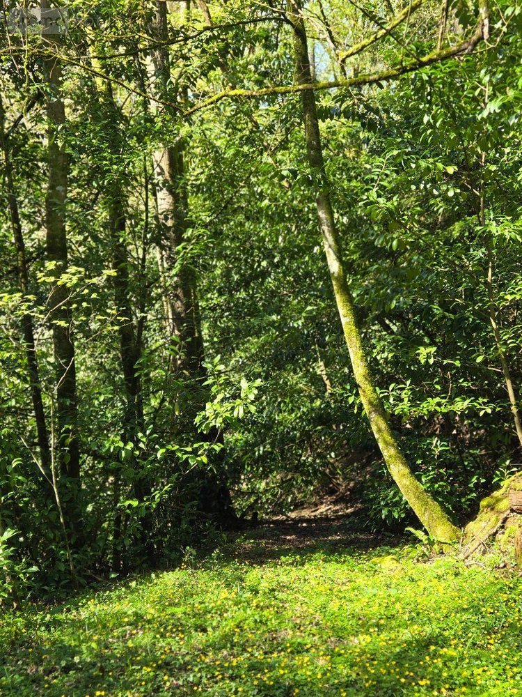 propriete a vendre Saint-Jacut-les-Pins 56220 Morbihan 200 m2  432736 euros