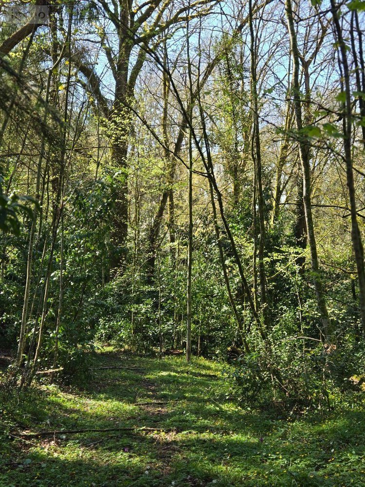 propriete a vendre Saint-Jacut-les-Pins 56220 Morbihan 200 m2  432736 euros