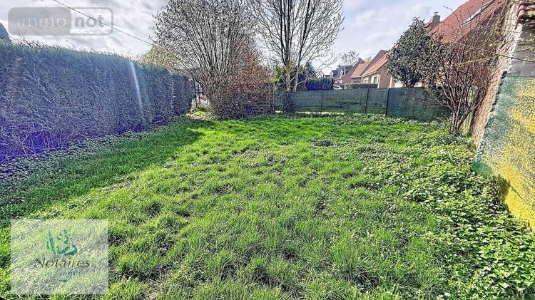 Maison a vendre Wallon-Cappel 59190 Nord 76 m2 3 pièces 116000 euros