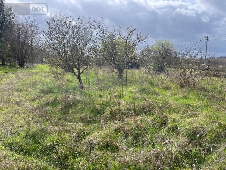 Maison a vendre Lhomme 72340 Sarthe 78 m2  28000 euros