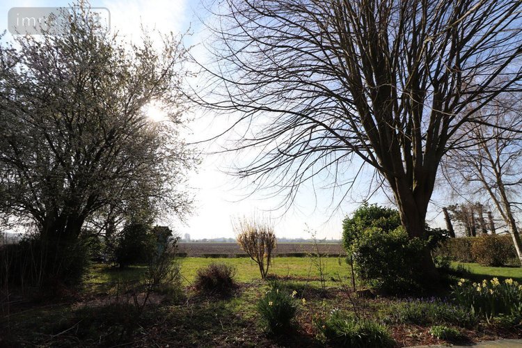 Maison a vendre Nieppe 59850 Nord 140 m2 4 pièces 374400 euros