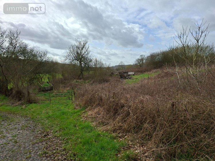 Maison a vendre Eppe-Sauvage 59132 Nord 112 m2 6 pièces 84500 euros