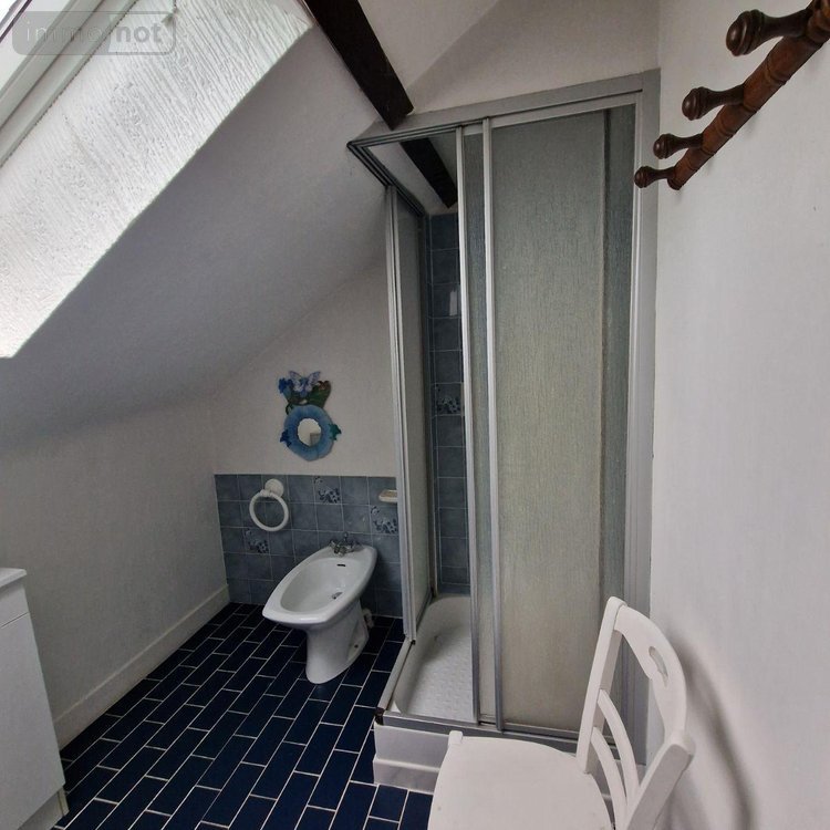 propriete a vendre Marcillé-la-Ville 53440 Mayenne 236 m2 8 pièces 156000 euros