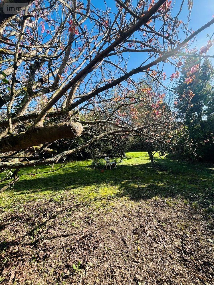 Maison a vendre Agon-Coutainville 50230 Manche 124 m2 4 pièces 473600 euros