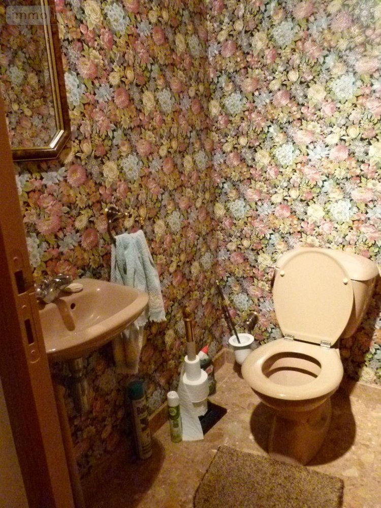 propriete a vendre Lourdoueix-Saint-Pierre 23360 Creuse 390 m2 6 pièces 364000 euros