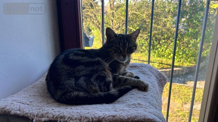 Maison a vendre Saint-Aubin-des-Landes 35500 Ille-et-Vilaine 138 m2 7 pièces 218820 euros