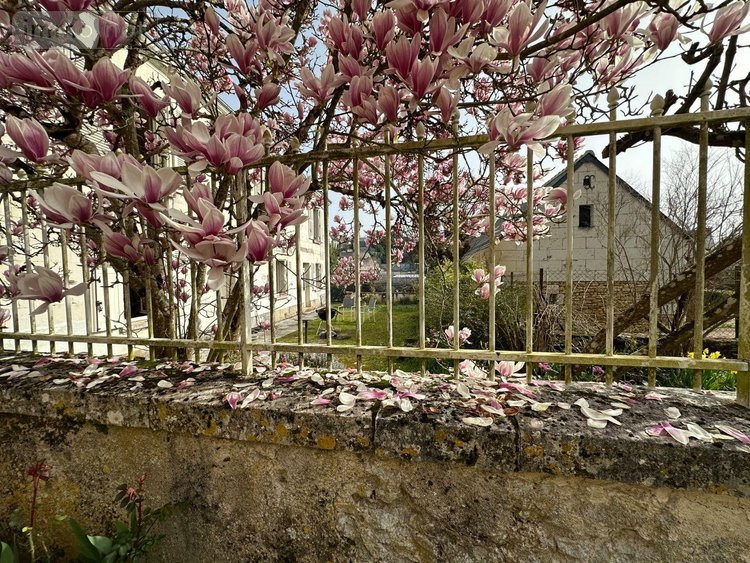 propriete a vendre Chisseaux 37150 Indre-et-Loire 191 m2 6 pièces 356217 euros