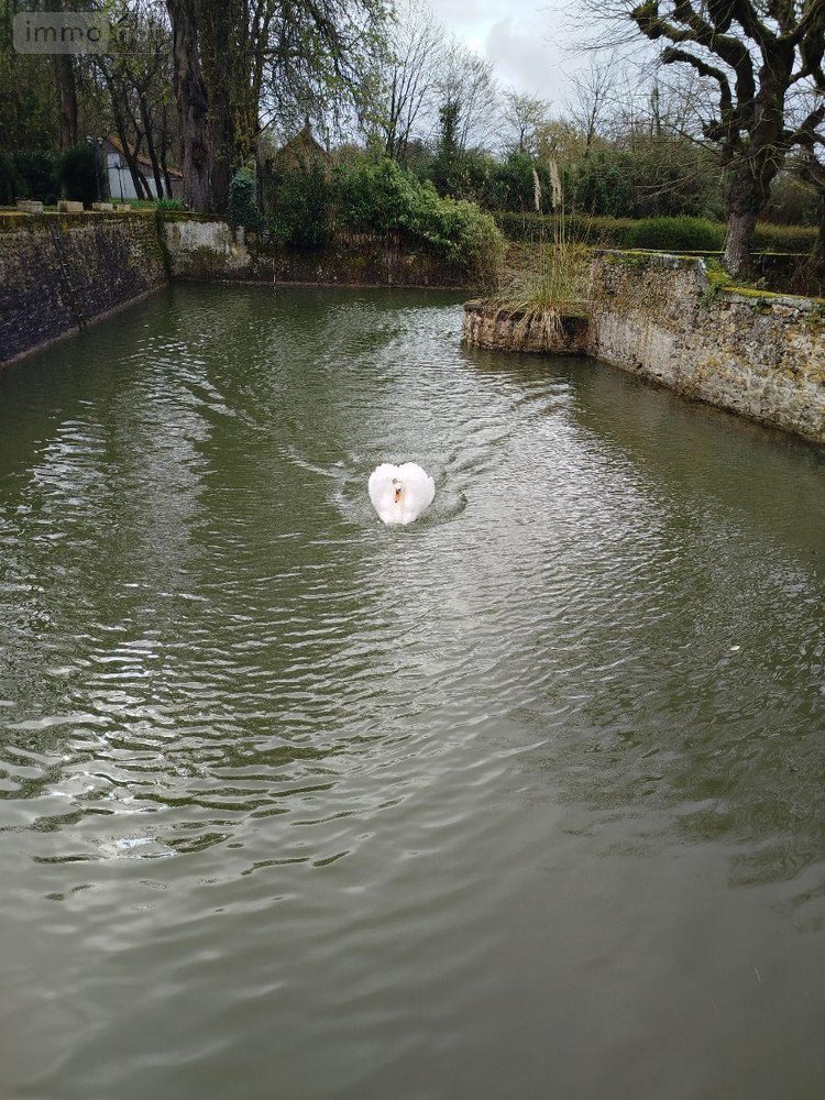 propriete a vendre Écommoy 72220 Sarthe 500 m2  1522500 euros