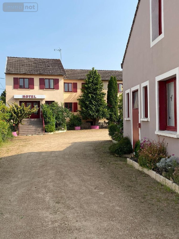 Fonds et murs commerciaux a vendre Digoin 71160 Saône-et-Loire 787 m2  549961 euros
