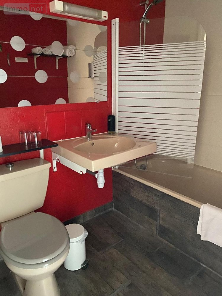 Fonds et murs commerciaux a vendre Digoin 71160 Saône-et-Loire 787 m2  549961 euros