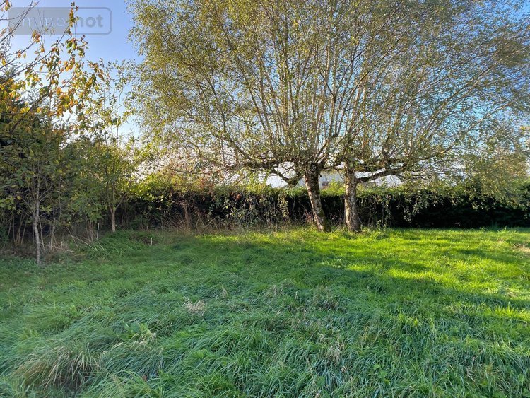 Maison a vendre Saint-Vincent-Bragny 71430 Saône-et-Loire 62 m2 2 pièces 105400 euros