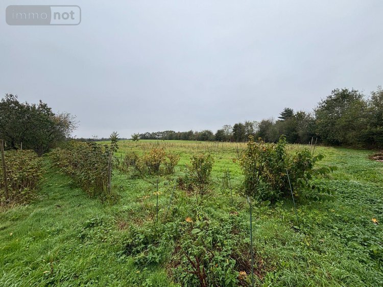 propriete a vendre Noyal-Châtillon-sur-Seiche 35230 Ille-et-Vilaine 495 m2 10 pièces 779250 euros