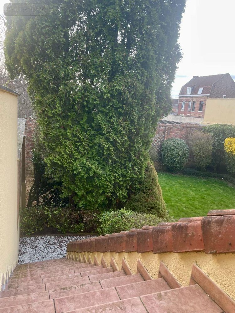 Maison a vendre Merville 59660 Nord 182 m2 6 pièces 248800 euros