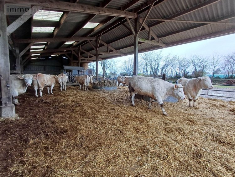 Maison a vendre Guilberville 50160 Manche 73 m2 4 pièces 199500 euros