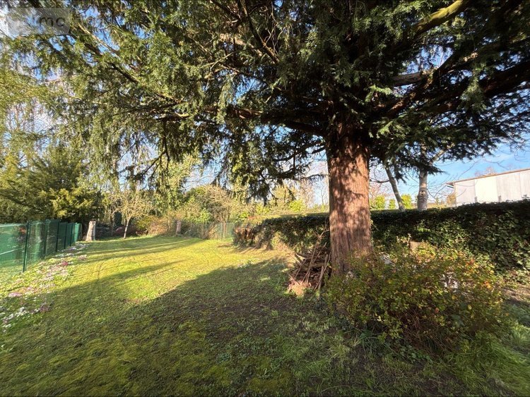 Immeuble a vendre Estaires 59940 Nord 178 m2  312500 euros