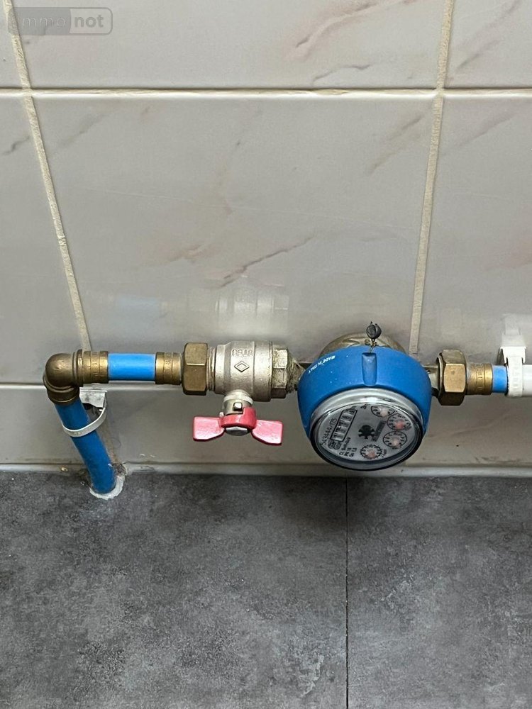 Appartement a vendre Vendeuvre-sur-Barse 10140 Aube 24 m2 2 pièces 39500 euros