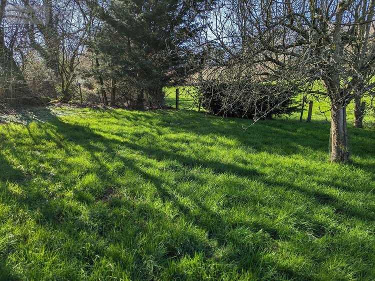 Terrains de loisirs bois etangs a vendre Les Herbiers 85500 Vendée 4125 m2  18000 euros