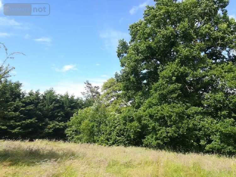 Maison a vendre Chasné-sur-Illet 35250 Ille-et-Vilaine 150 m2 6 pièces 261250 euros