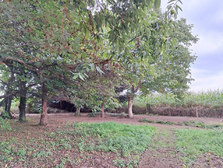 Maison a vendre Parcé 35210 Ille-et-Vilaine 80 m2 4 pièces 94500 euros