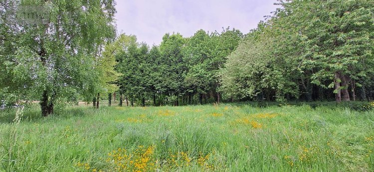 Maison a vendre Mézières-sur-Couesnon 35140 Ille-et-Vilaine 132 m2 5 pièces 235125 euros