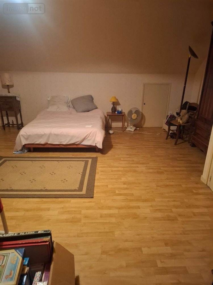 Maison a vendre Neuvy-Deux-Clochers 18250 Cher 160 m2 6 pièces 336000 euros