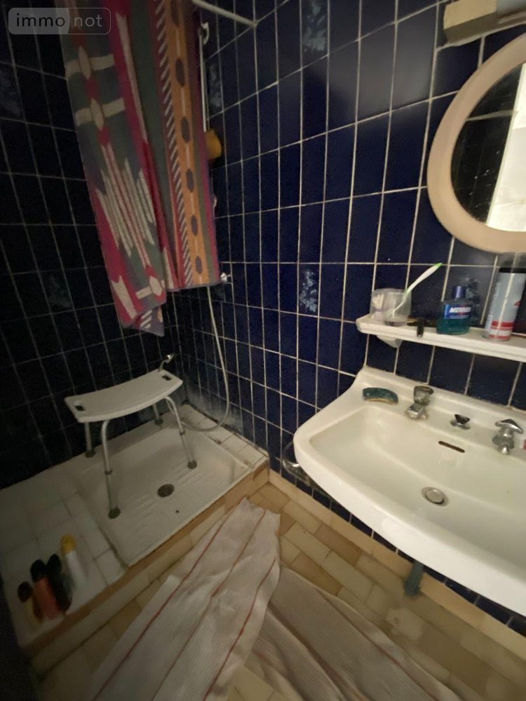 Maison a vendre Azay-le-Ferron 36290 Indre 50 m2 2 pièces 22400 euros