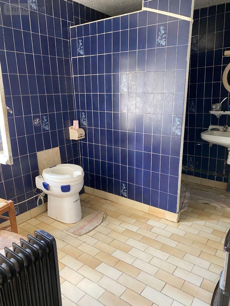 Maison a vendre Azay-le-Ferron 36290 Indre 50 m2 2 pièces 22400 euros