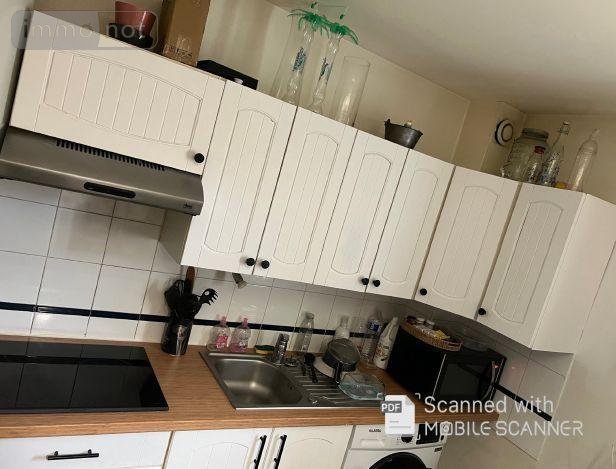 Location appartement L'Isle-Adam 95290 Val-d'Oise 43 m2 3 pièces 830 euros