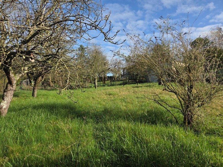 Maison a vendre Viviers-sur-Artaut 10110 Aube 95 m2 4 pièces 112350 euros