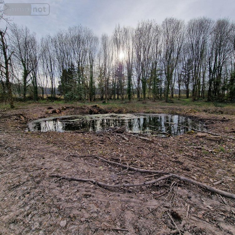 Terrains de loisirs bois etangs a vendre Pré-en-Pail-Saint-Samson 53140 Mayenne  106000 euros