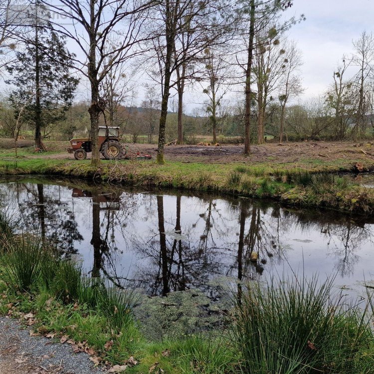 Terrains de loisirs bois etangs a vendre Pré-en-Pail-Saint-Samson 53140 Mayenne  106000 euros