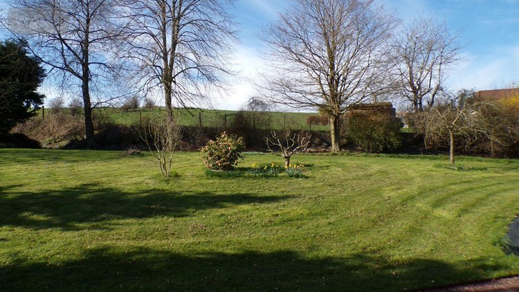 Maison a vendre Willencourt 62390 Pas-de-Calais 175 m2 7 pièces 370000 euros