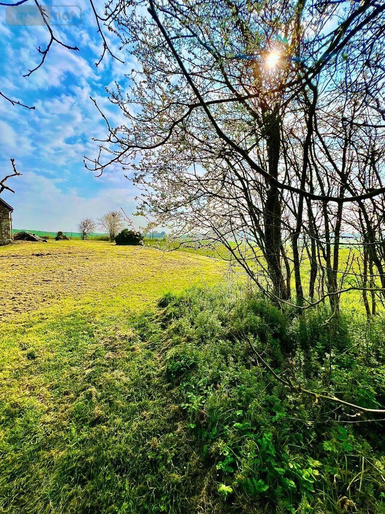 Maison a vendre Luçay-le-Mâle 36360 Indre 205 m2 8 pièces 290000 euros