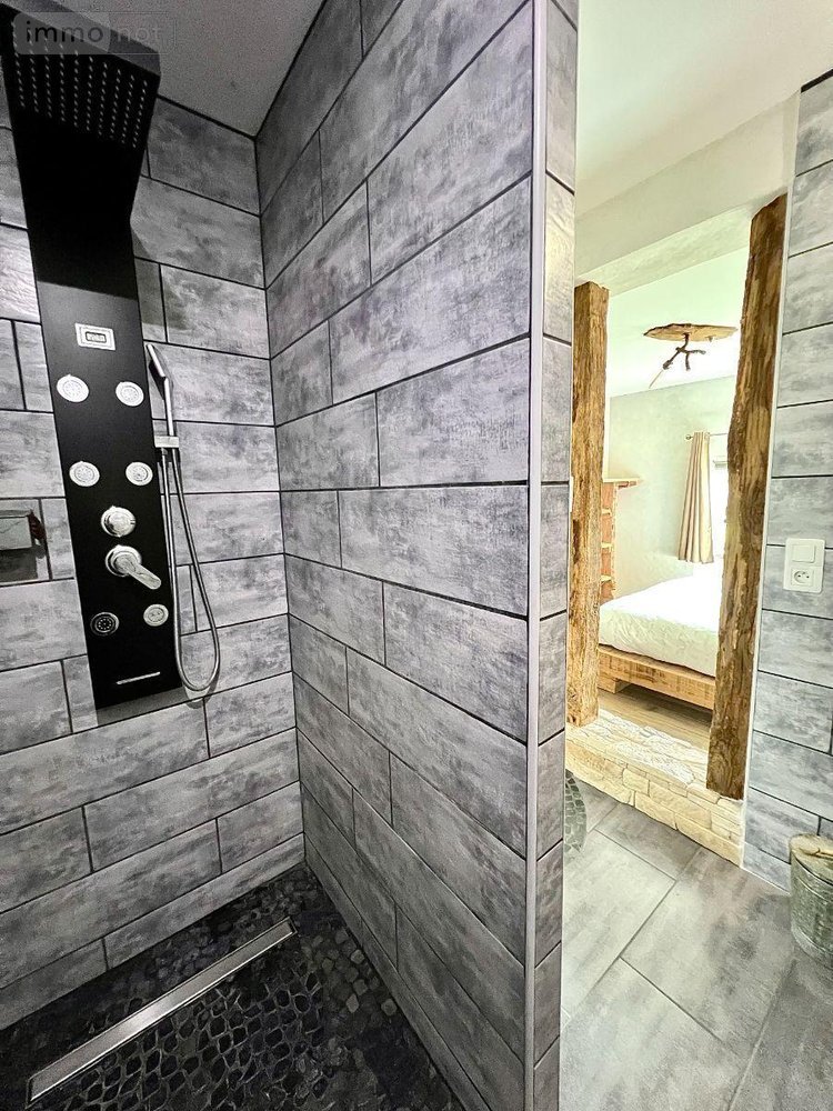 Maison a vendre Luçay-le-Mâle 36360 Indre 205 m2 8 pièces 290000 euros