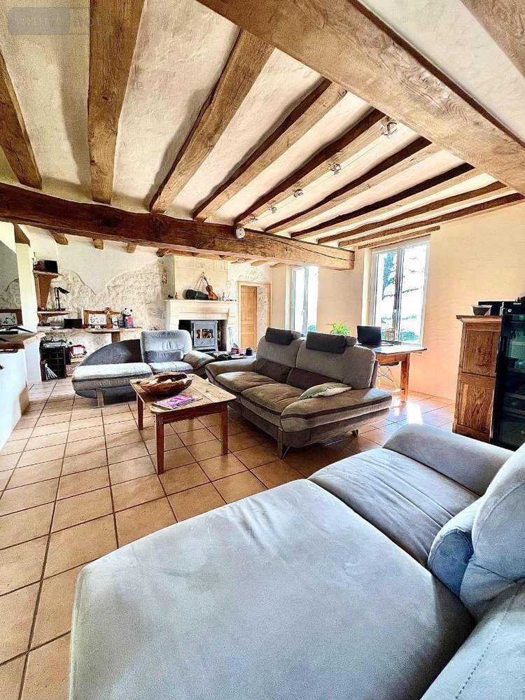 Maison a vendre Luçay-le-Mâle 36360 Indre 205 m2 8 pièces 290000 euros