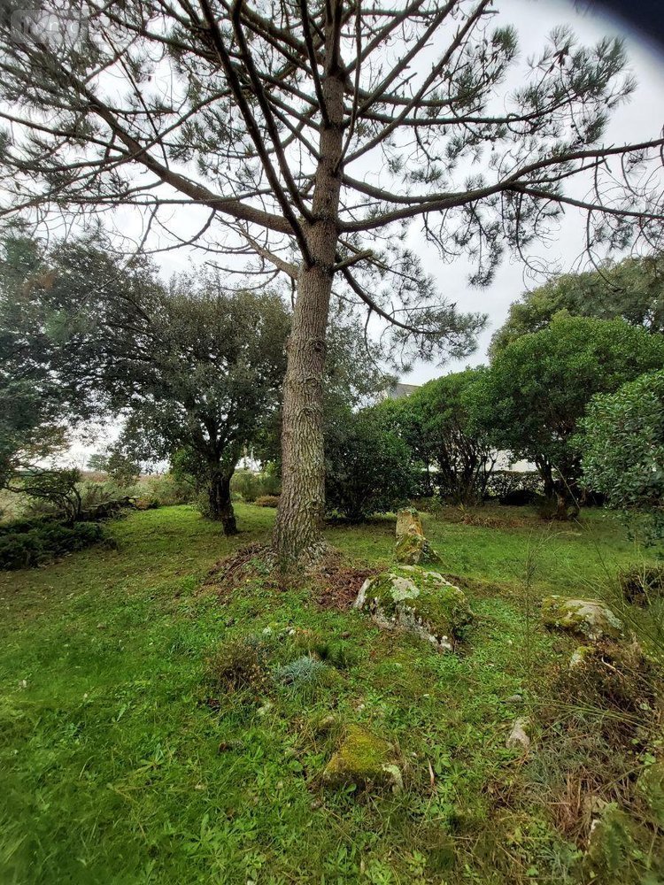 Maison a vendre La Trinité-sur-Mer 56470 Morbihan 102 m2 5 pièces 1872000 euros