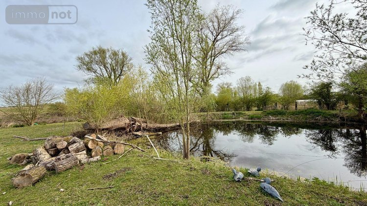 Maison a vendre Noordpeene 59670 Nord 164 m2 7 pièces 370000 euros