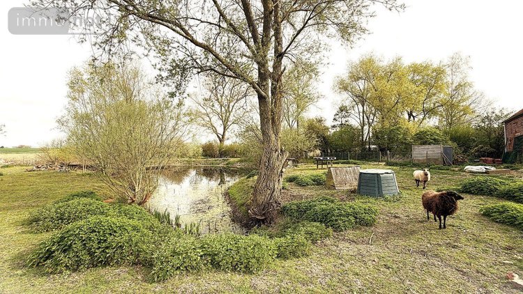 Maison a vendre Noordpeene 59670 Nord 164 m2 7 pièces 370000 euros