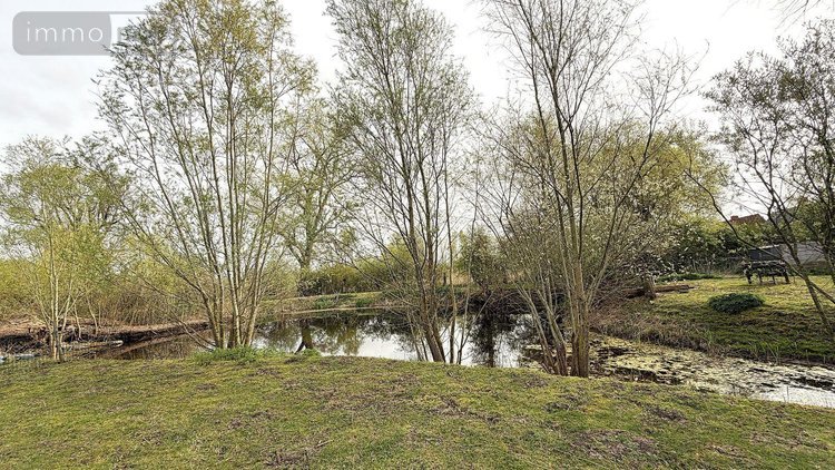 Maison a vendre Noordpeene 59670 Nord 164 m2 7 pièces 370000 euros