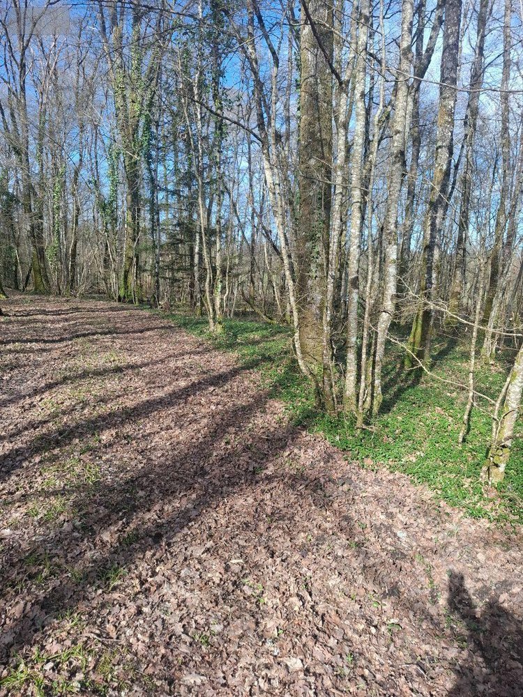 Terrains de loisirs bois etangs a vendre Humbligny 18250 Cher 57000 m2  55000 euros