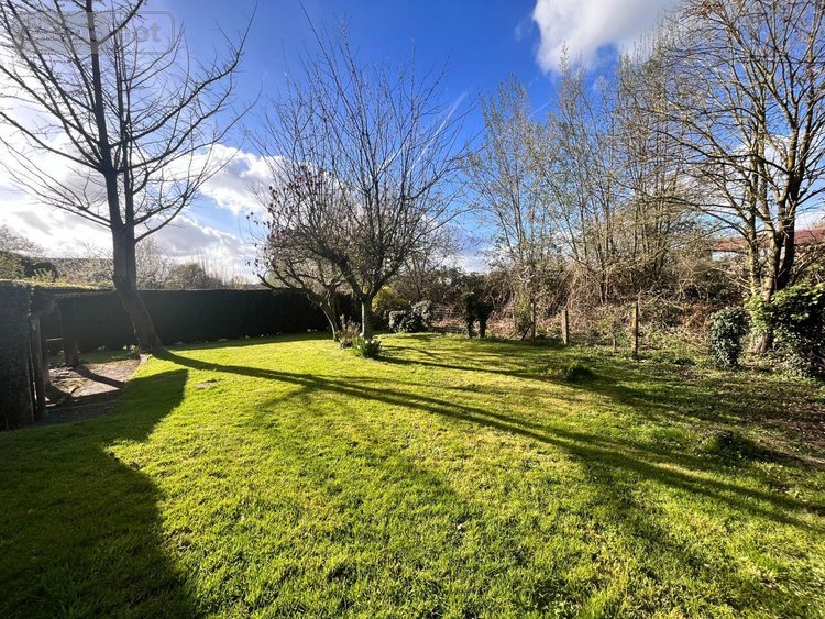 Maison a vendre Bailleul 59270 Nord 178 m2 7 pièces 420000 euros