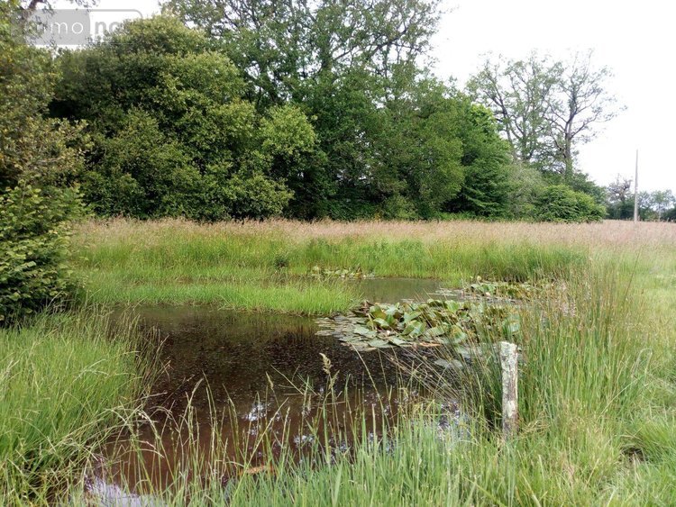 Maison a vendre Loupfougères 53700 Mayenne 58 m2 3 pièces 84560 euros