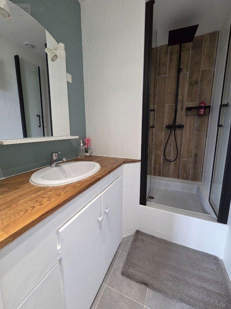 Maison a vendre Le Palais-sur-Vienne 87410 Haute-Vienne 187 m2 6 pièces 296450 euros