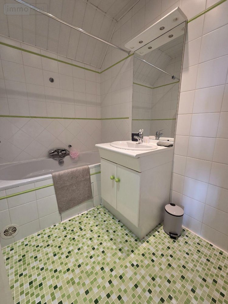 Maison a vendre Le Palais-sur-Vienne 87410 Haute-Vienne 187 m2 6 pièces 296450 euros