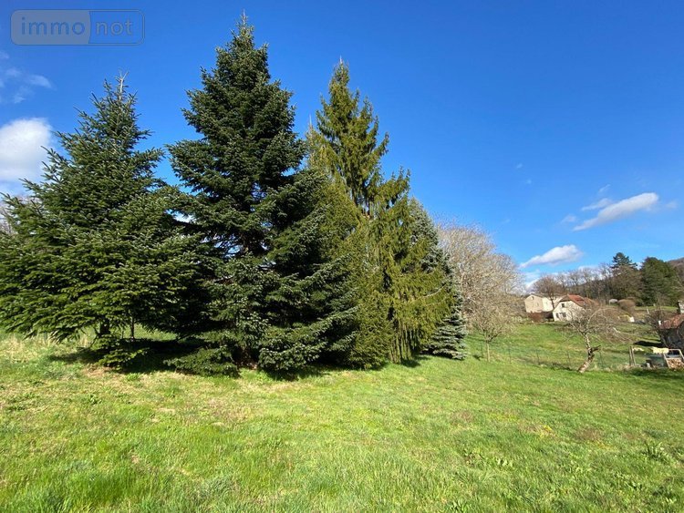 Maison a vendre Marmanhac 15250 Cantal 157 m2 7 pièces 285000 euros