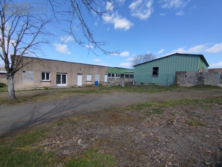 Fonds et murs commerciaux a vendre Pruillé-le-Chétif 72700 Sarthe  325500 euros